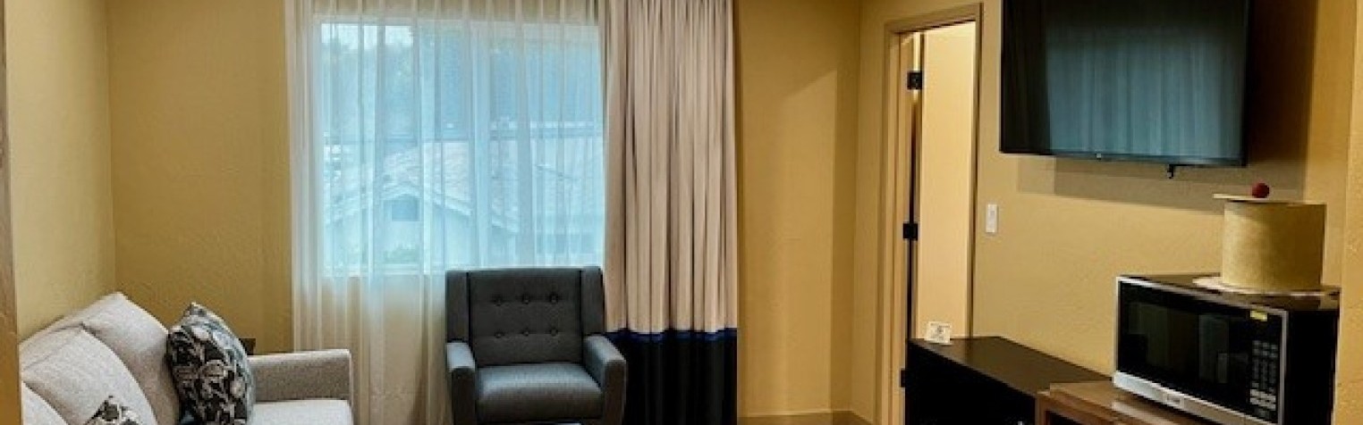 A view of the premium two bedroom suite equipped with a flatscreen TV, table, microwave, luxurious chairs and couch.