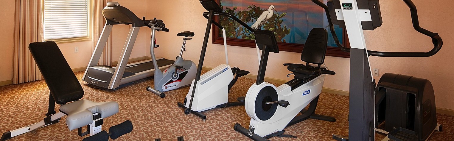 Fitness center room displaying treadmill, weights, and an exercise bike.